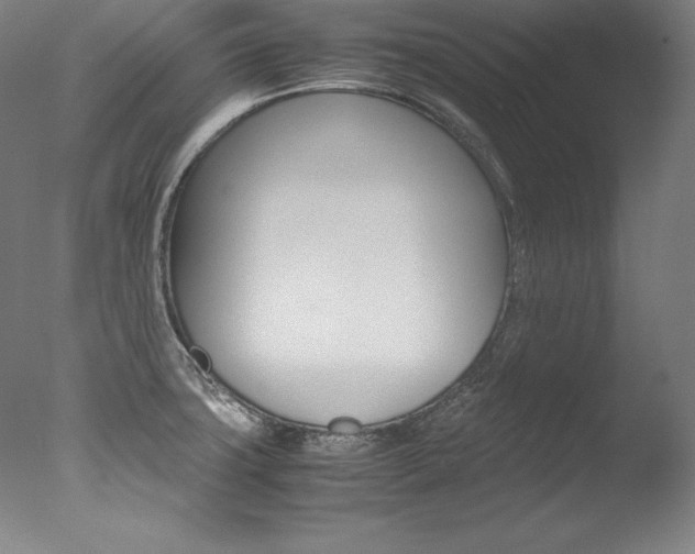 X0000077341427200610200929