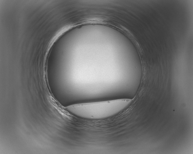 X0000077341435200610200929