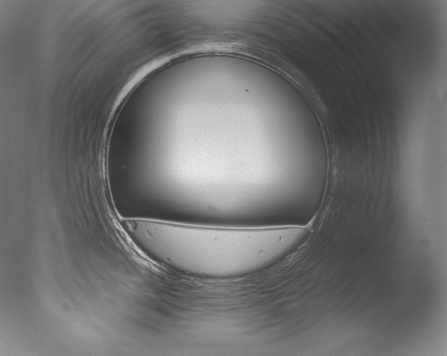 X0000077341436200610200929