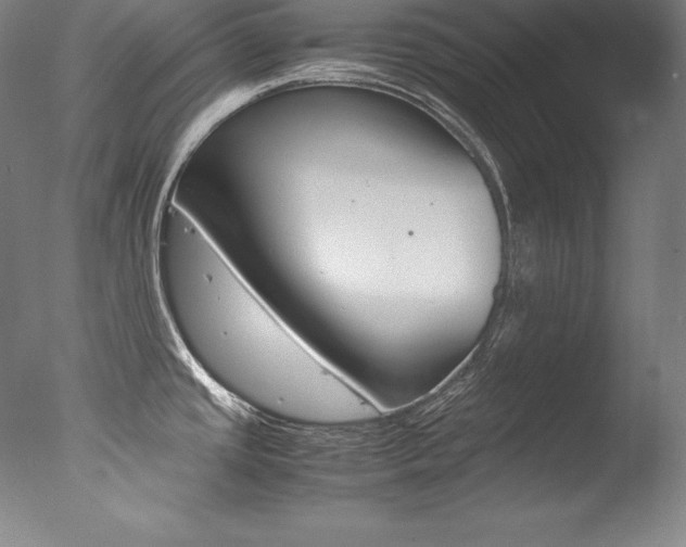 X0000077341437200610200929