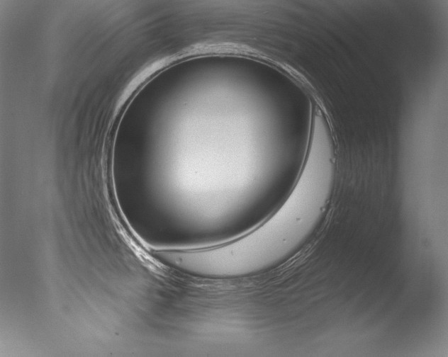 X0000077341438200610200929