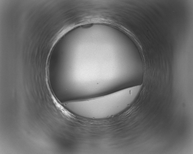 X0000077341439200610200929