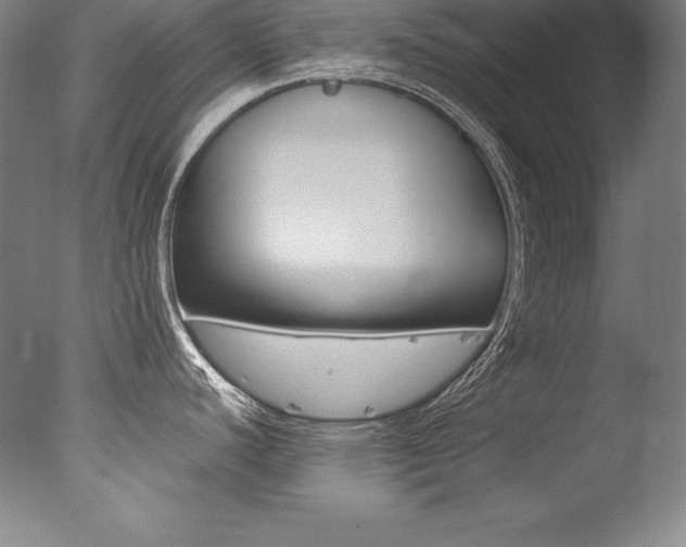 X0000077341440200610200929
