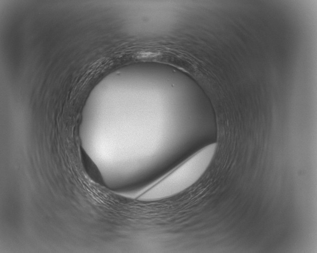 X0000077341441200610200928