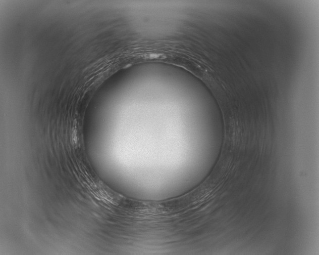 X0000077341442200610200928