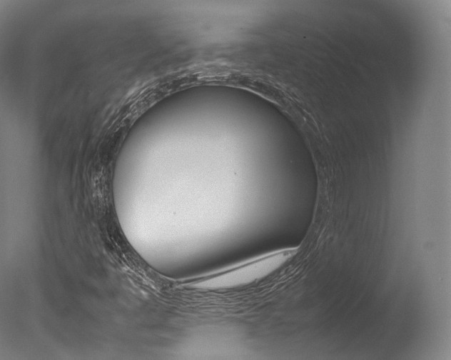 X0000077341445200610200928