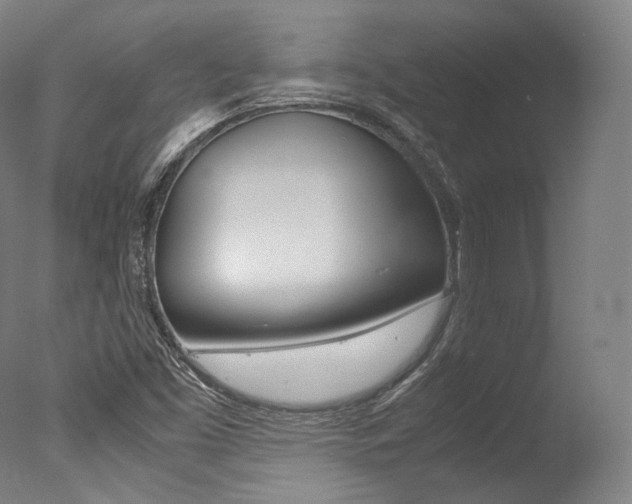 X0000077341453200610200928
