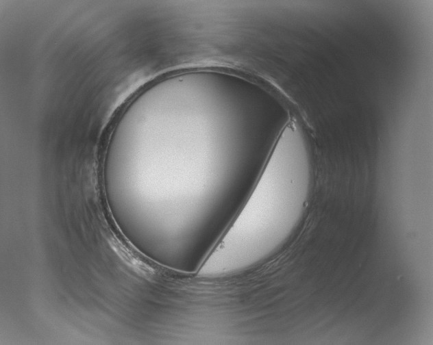 X0000077341460200610200928
