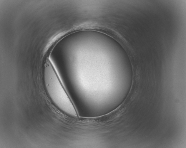 X0000077341461200610200928