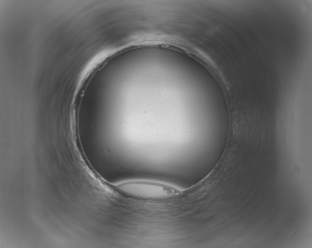X0000077341472200610200928