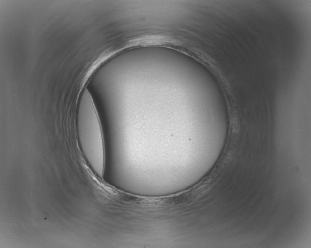 X0000077341473200610200928