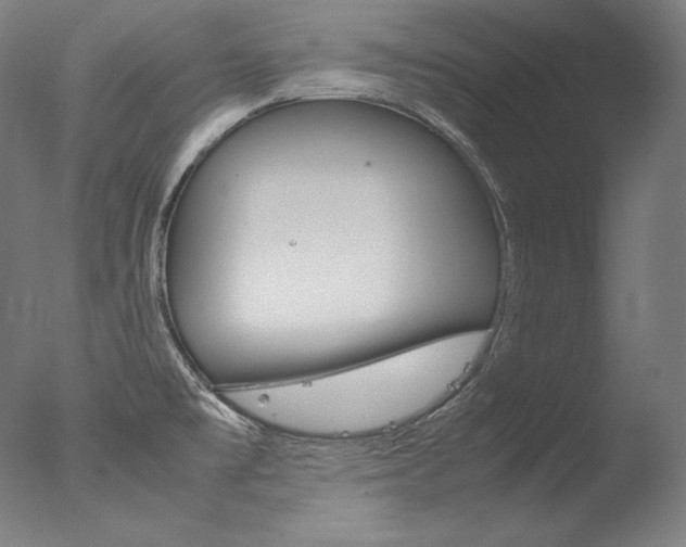 X0000077341477200610200928