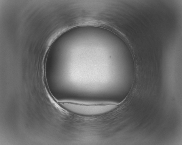 X0000077341479200610200928