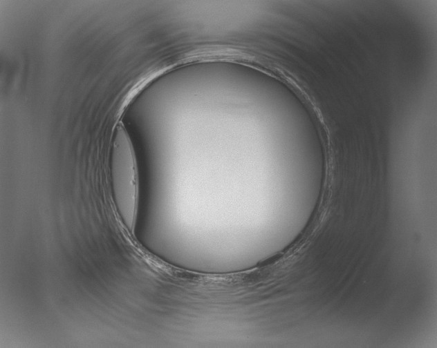 X0000077341481200610200928