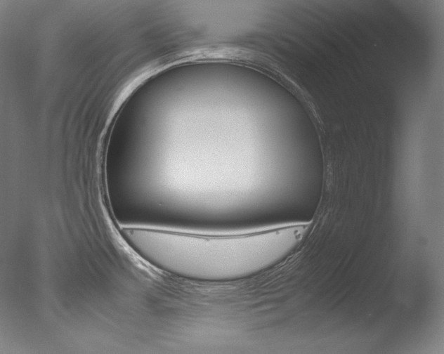 X0000077341483200610200928
