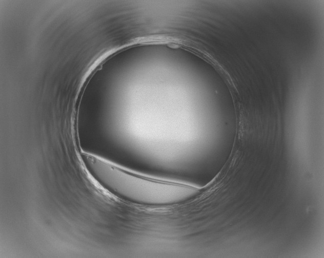 X0000077341484200610200928