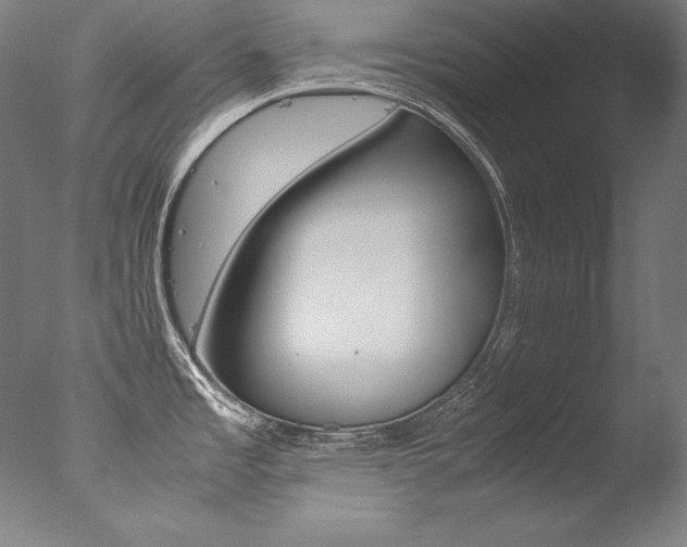 X0000077341485200610200928