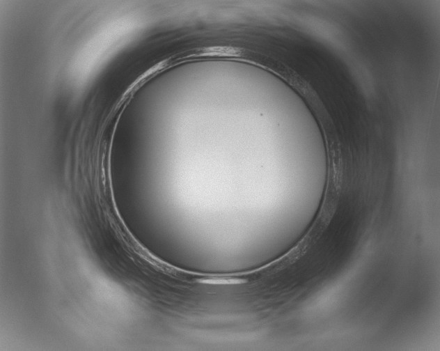 X0000077341487200610200928