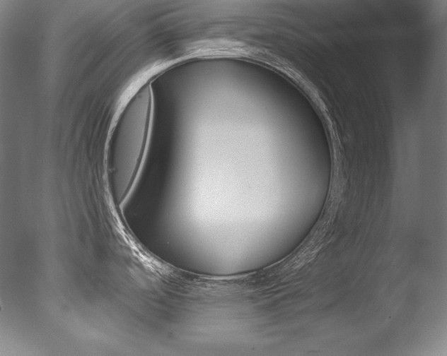 X0000077341488200610200928