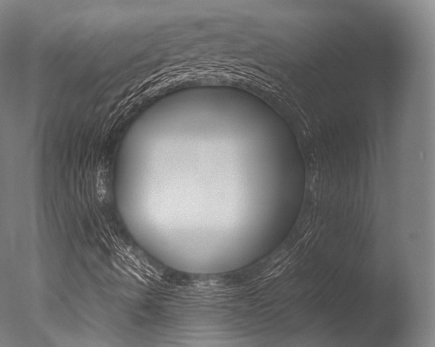X0000077341490200610200927