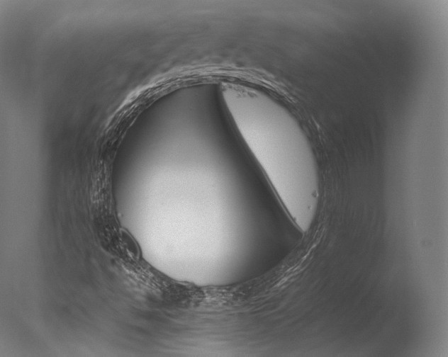X0000077341494200610200927