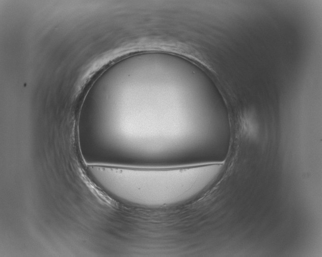X0000077341507200610200927