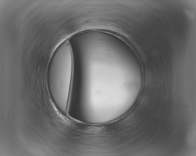 X0000077341513200610200927