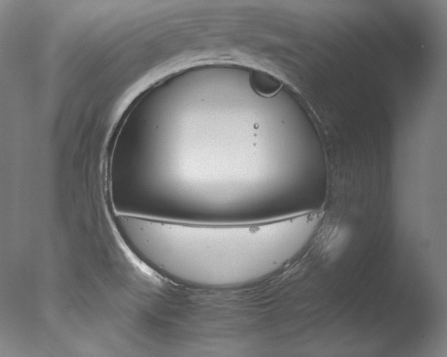 X0000077341519200610200927