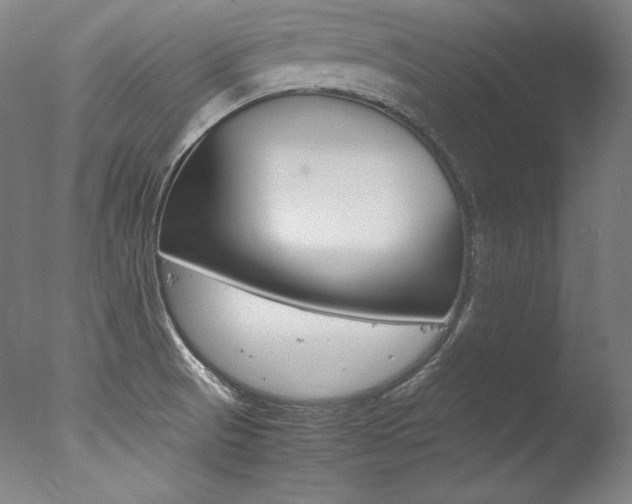 X0000077341521200610200927