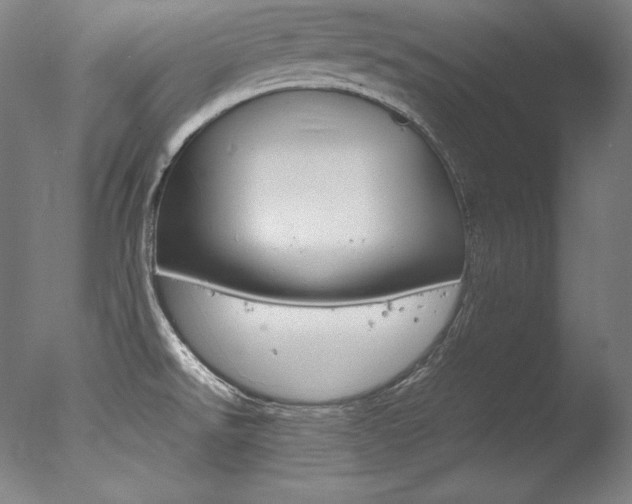 X0000077341526200610200927