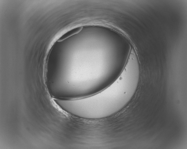 X0000077341528200610200927