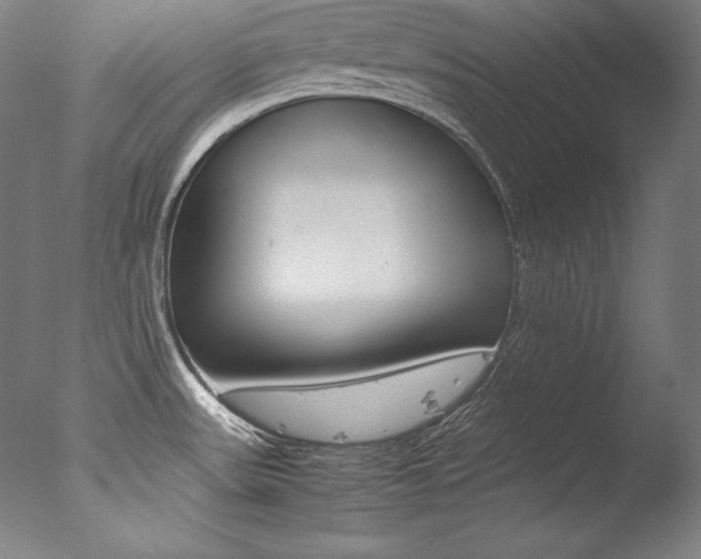 X0000077341531200610200927