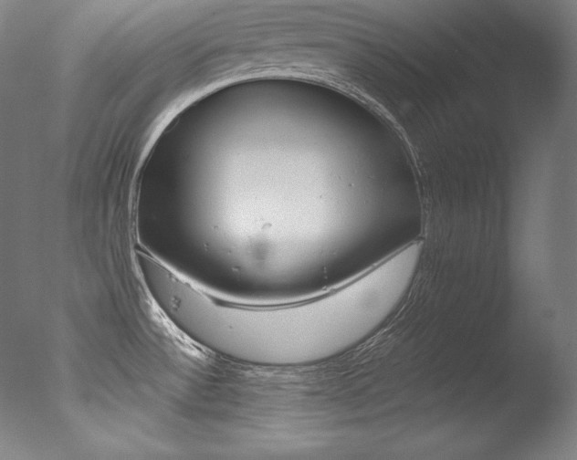X0000077341532200610200927