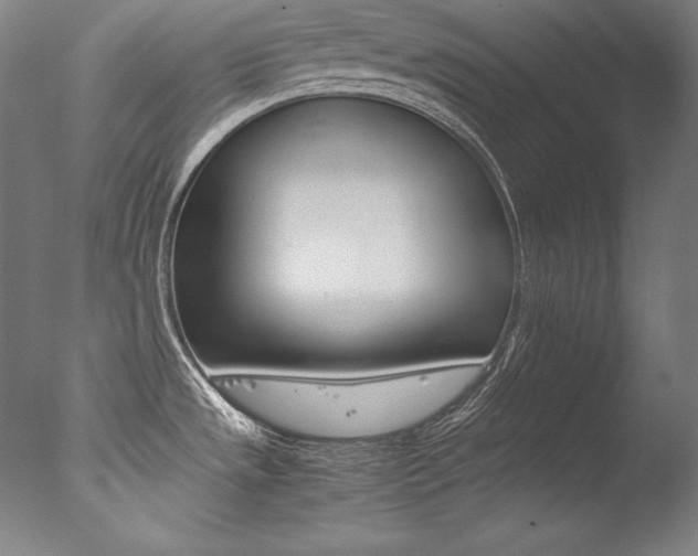 X0000077341533200610200927