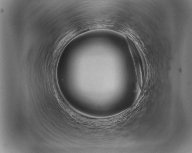X0000077340001200610201311