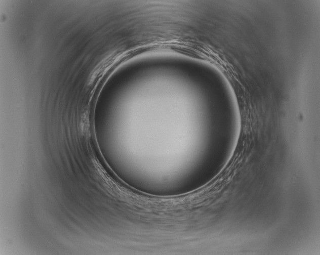 X0000077340002200610201311
