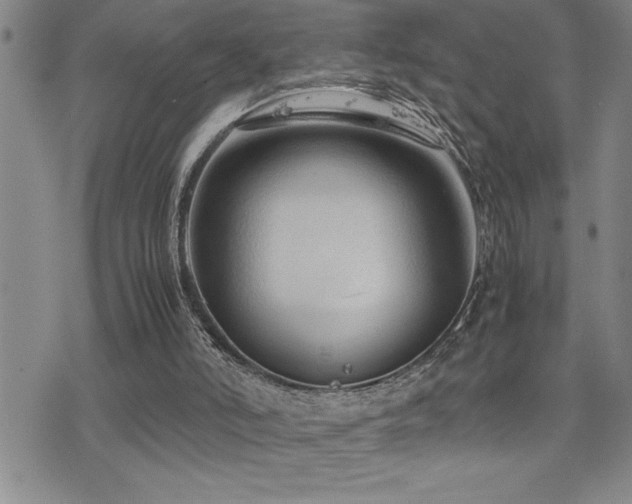 X0000077340006200610201311