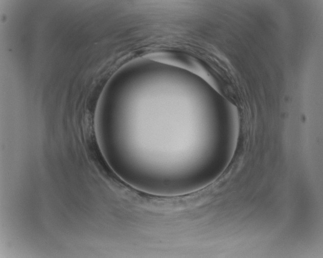 X0000077340029200610201310