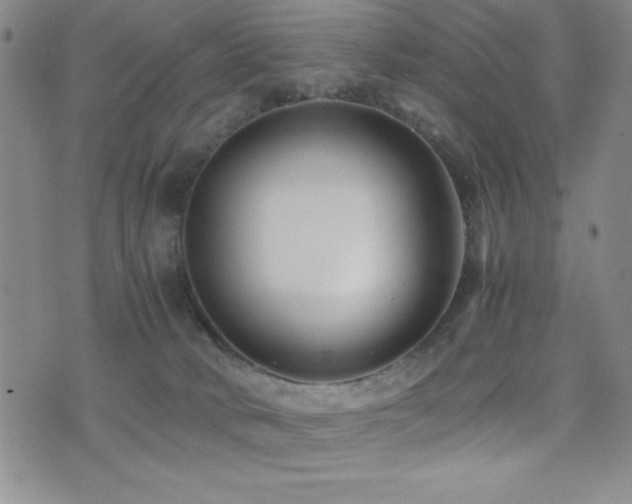 X0000077340034200610201310