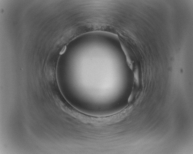 X0000077340039200610201310