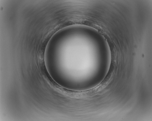 X0000077340040200610201310