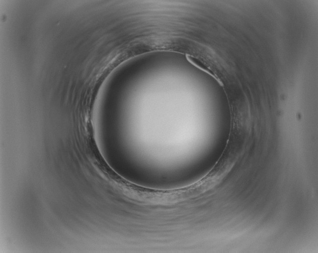 X0000077340044200610201310