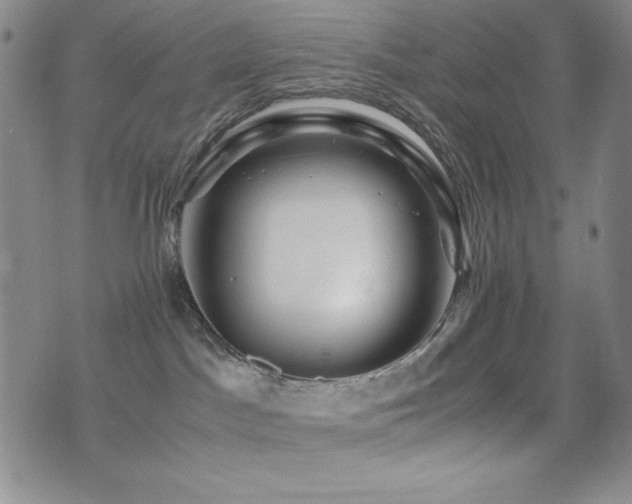 X0000077340045200610201310