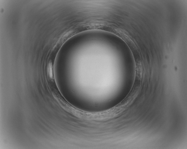 X0000077340046200610201310