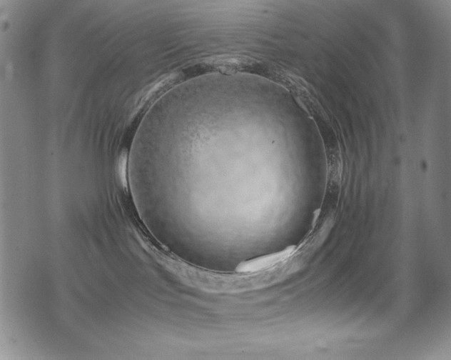 X0000077340047200610201310