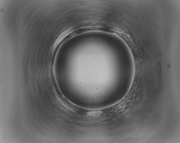 X0000077340051200610201309