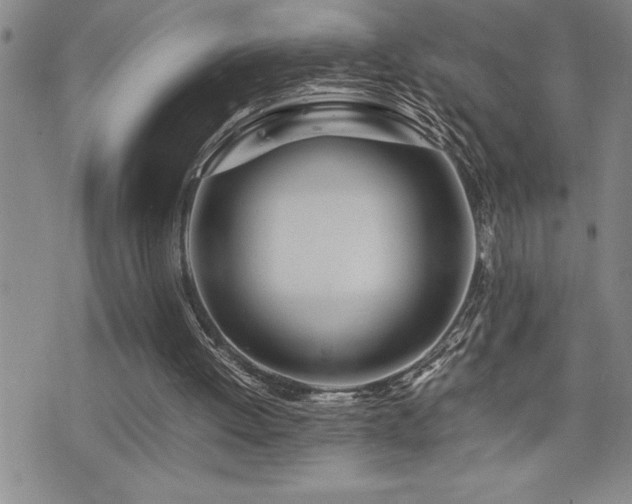 X0000077340052200610201309