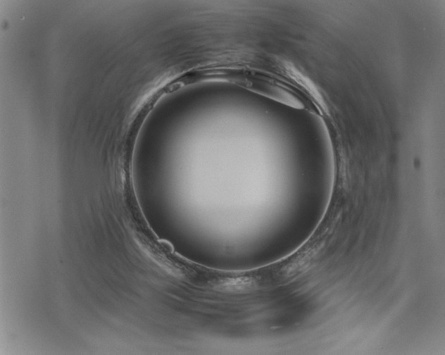 X0000077340059200610201309