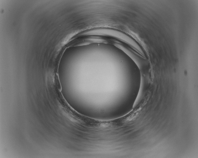X0000077340060200610201309