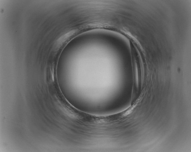 X0000077340062200610201310